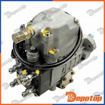 Pompe Haute Pression pour RENAULT | 0460414982, H110668